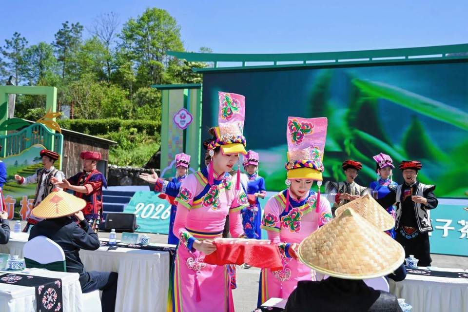 签约金额达7000万元 四川北川举办2026北川苔子茶产销大会